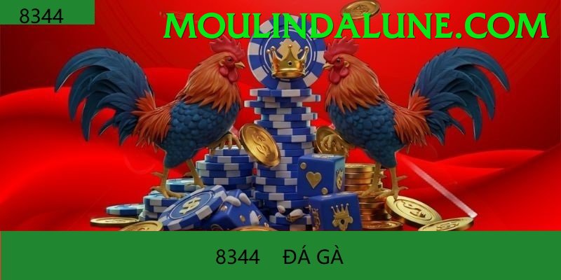 Đá Gà Trực Tiếp - da88